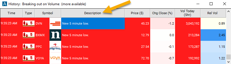 5 Minute Low Alert Description